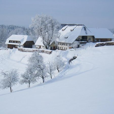 Апартаменты Brosihof Erlenbach  Экстерьер фото