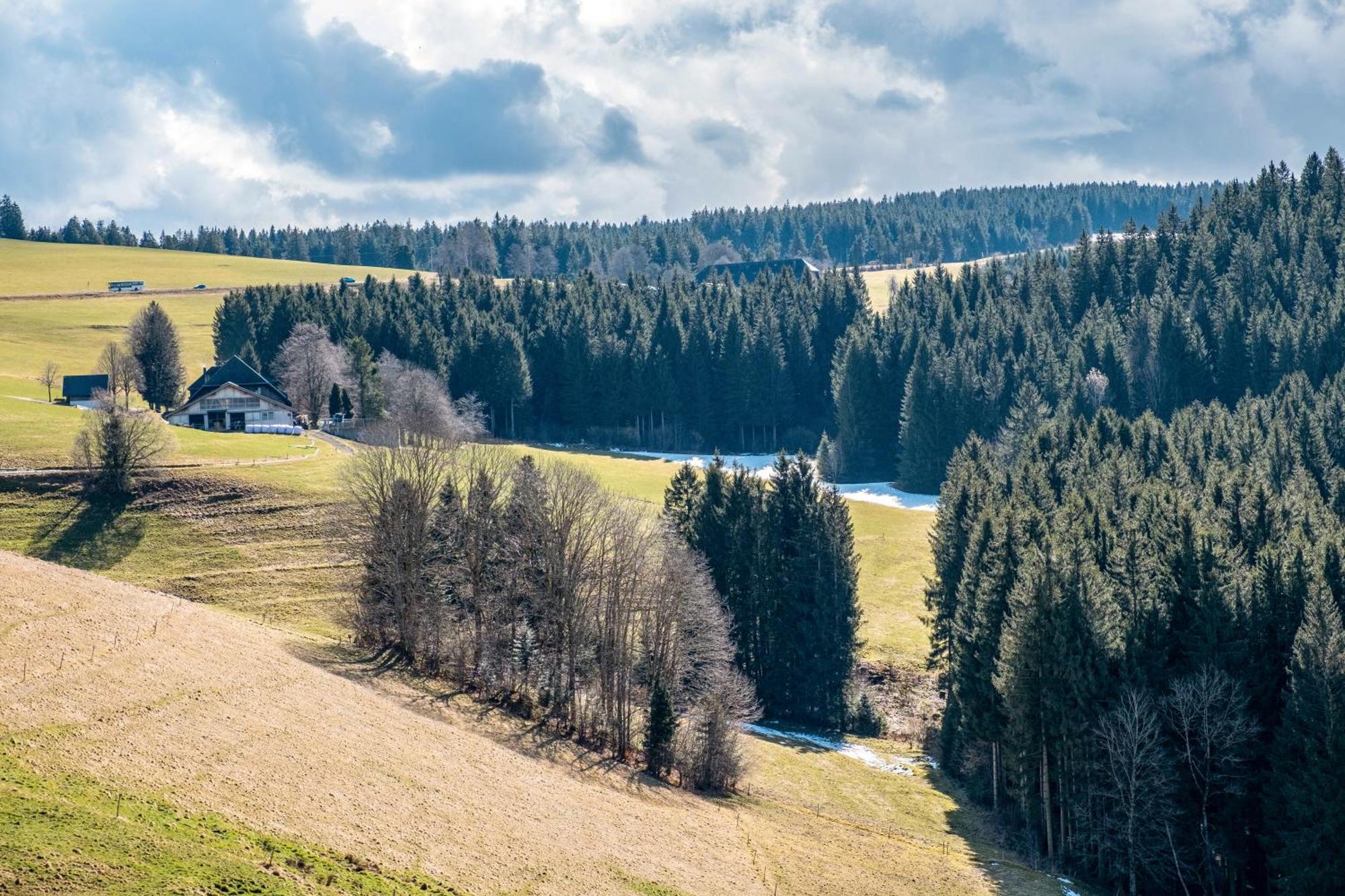 Апартаменты Brosihof Erlenbach  Экстерьер фото